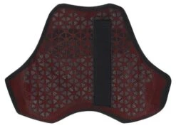 Richa Eendelige Borstprotector -Geselecteerde Motorkledingwinkels 027631 100 2 Richa 1pc Chest Protector